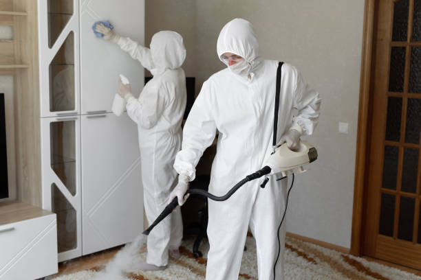 Attic Mold Removal in Milford, MI