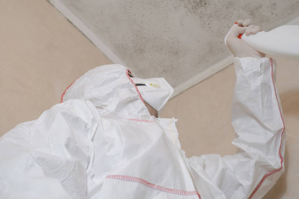 Best Mold Cleaning Services  in Lford, MI